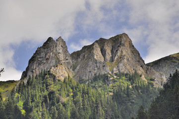 Chamois stone mountain