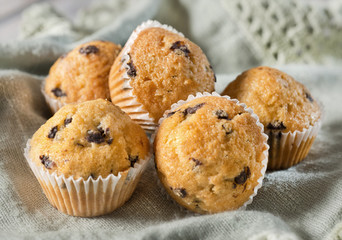 Blueberry Muffin