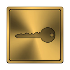 Key icon