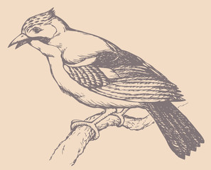 Vector drawing of a series 