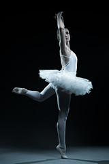 Ballet dancer and stage shows