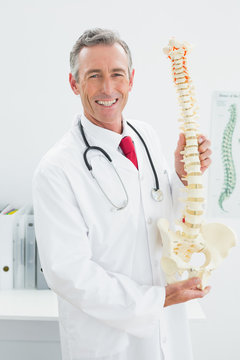Smiling doctor holding skeleton model in office