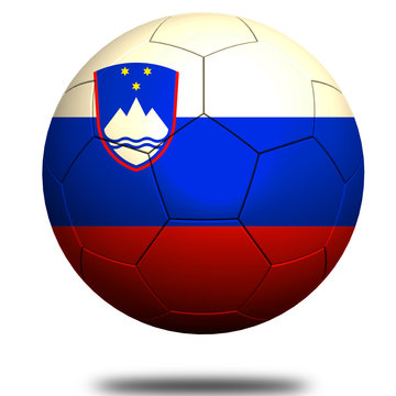 Slovenia soccer