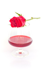 red rose with wine glass
