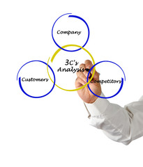 3 c's analysis