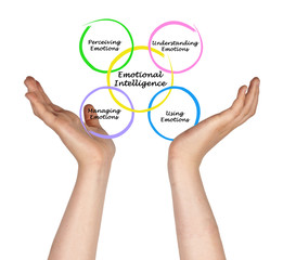 Fototapeta premium Diagram of emotional intelligence