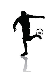 Fototapeta na wymiar soccer player kicking a soccer ball