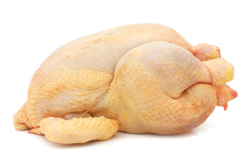 Fresh chicken - fresh hen 