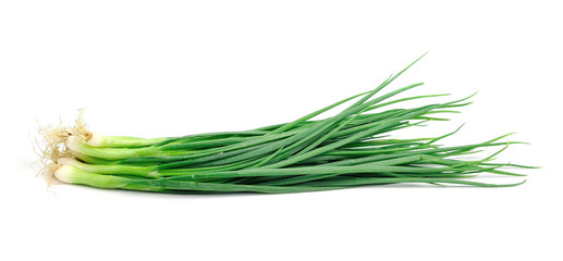 spring onions on a white background.