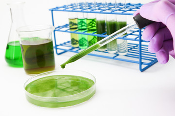Algae biofuel technology