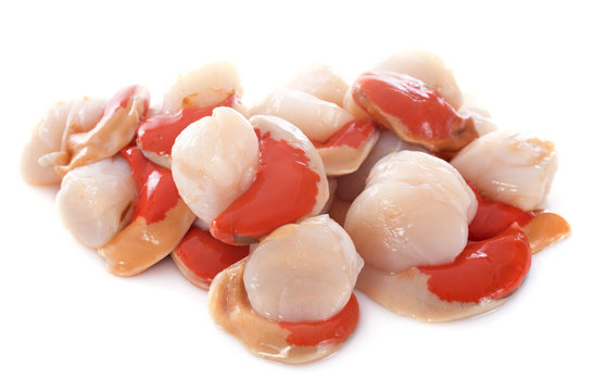 great scallops
