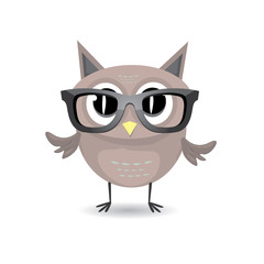 vector cartoon cute little owl bird isolated on white