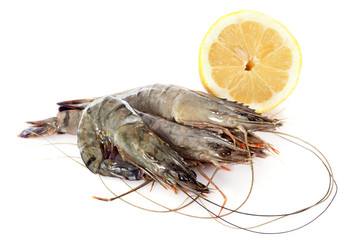 raw gambas