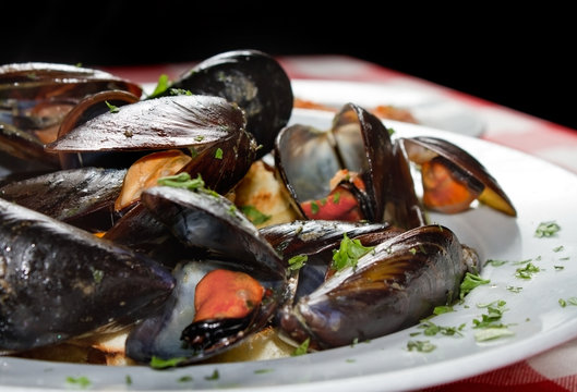 Mussels CloseUp