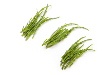 Samphire isolated on a white studio background.