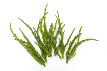 Fototapeta premium Samphire isolated on a white studio background.