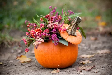 Printed kitchen splashbacks Flowers fall decoration with pumpkin