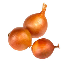 Fresh golden onions isolated on white background
