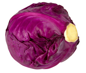 Fototapeta premium Purple cabbage isolated on white background