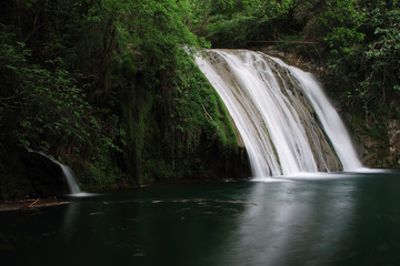 Waterfall known as La Pedrera d’en Biel, Planes d'Hostoles