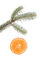 Fototapeta na wymiar Pine branch with dried orange slice isolated