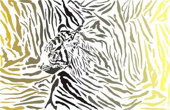 Tiger camouflage background with head