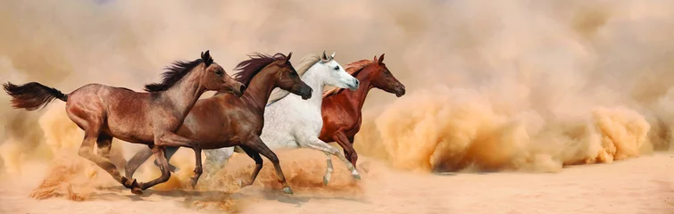 Foto auf Acrylglas Pferde Herde galoppiert im Sandsturm
