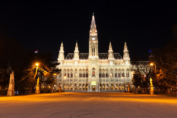 Fototapeta na wymiar Night scene with town hall in Vienna