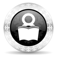 book christmas icon