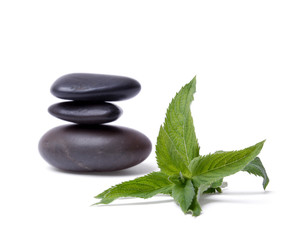 mint leaf and Stack of stones