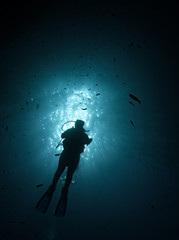 Obraz na płótnie Canvas Diver in the sea