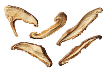 Dried shiitake mushroom slices isolated on white background