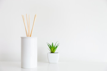 House diffuser and green plant