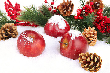 Red apples with fir branches in snow close up