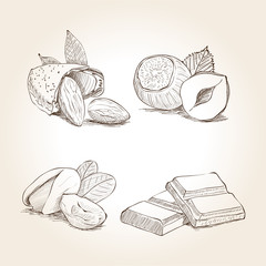 Nuts and Chocolate Illustration