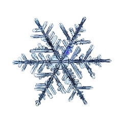 natural crystal snowflake macro