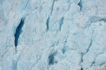 Detail front of a glacier ending in pack ice in sea. © andreanita