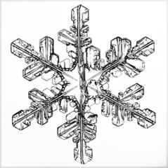 natural crystal snowflake macro