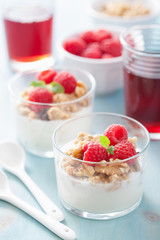 healthy breakfast with yogurt granola and raspberry