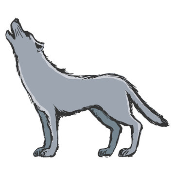 wolf