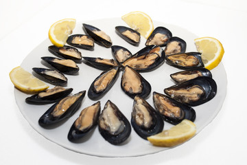 Cozze nere
