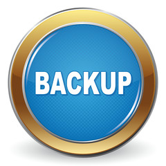 BACKUP ICON
