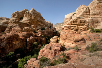 Landscape of Dana National Park, Jordan