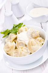 Meat Dumplings
