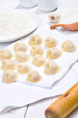 Meat Dumplings