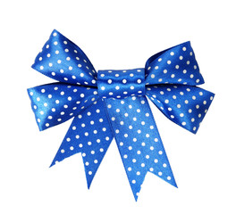 beautiful holiday blue bow and ribbon
