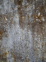 Rusty metal grunge background