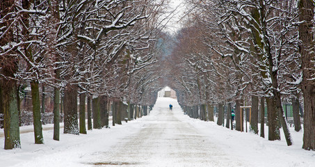 Fototapeta premium Vienna - alley from gardens of Schonbrun palace in winter