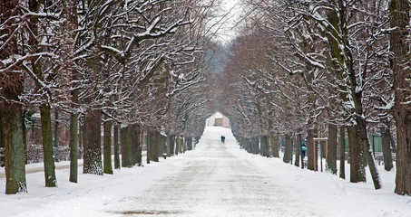 Fotobehang Vienna - alley from gardens of Schonbrun palace in winter © Renáta Sedmáková