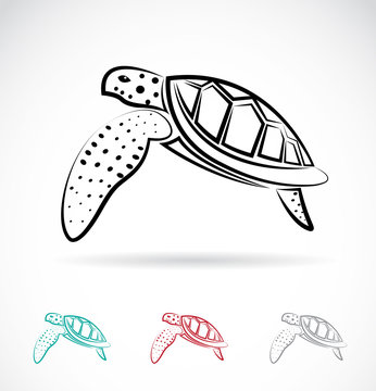 Vector image of an turtle